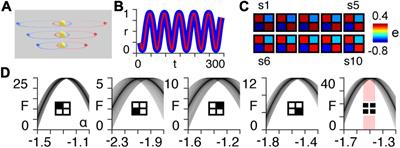 Neural Systems Under Change of Scale